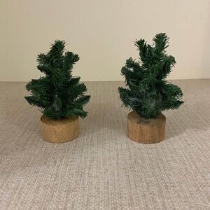 Two Mini Christmas Trees with wooden base